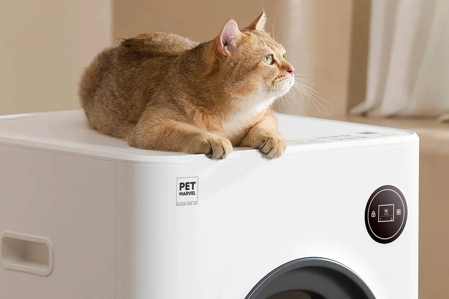 automatic scooping litter box